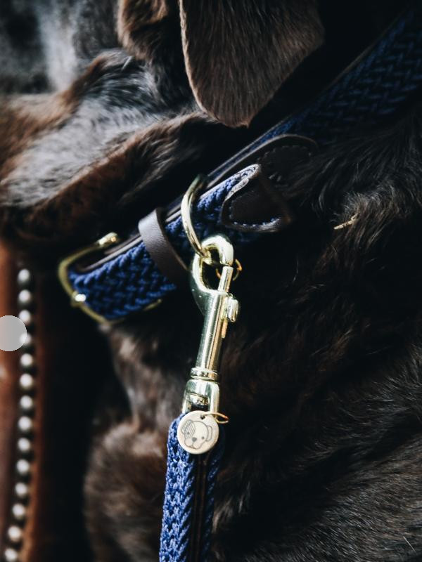 Kentucky horsewear Hundeleine Hund Leine Blau