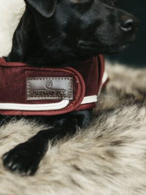 Kentucky-Dogwear-Hundemantel-Heavy-Fleece-Detail