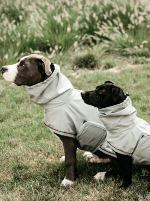 Kentucky-Dogwear-Regenjacke-Hunde