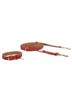 Hundeleine-Vegan-Rot-Leine-Halsband